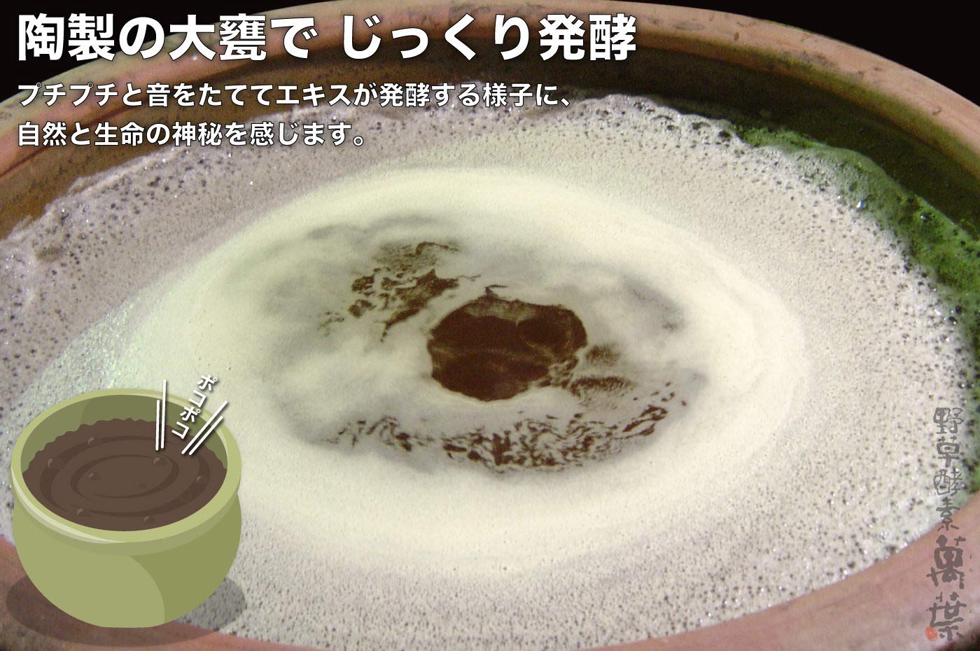 Amazon.co.jp: 野草酵素 萬葉[まんよう] 濃縮練り 渋バリア 5g×30包